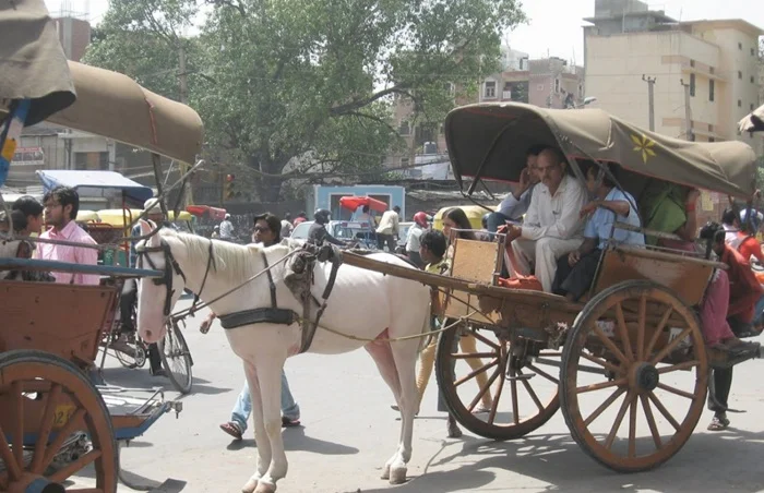 वीरगञ्जमा मितेरीपुल–नयाँबसपार्क सडकखण्डमा मात्रै टाँगा चलाउन पाइने