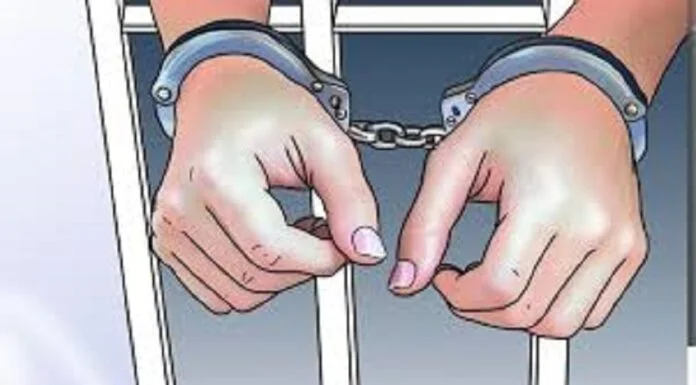 ‘इनिस्पेक्टर’ हुँ भन्दै ठग्ने र स्कुटर चोरी गर्ने गिरोहसहित आठजना पक्राउ