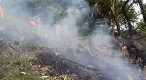 भारतमा हेलिकप्टर दुर्घटनामा बालकसहित सात जनाको मृत्यु