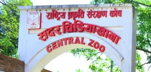 चिडियाखानामा सन्ध्याकालीन सेवा सुरु भएपछि बढे पर्यटक
