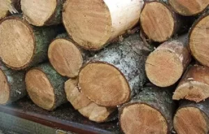 एकहजार क्यु फिट काठ निकुञ्जको नियन्त्रणमा