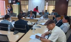 प्रस्तावित न्यायाधीशको संसदीय सुनुवाइ प्रक्रिया सुरु