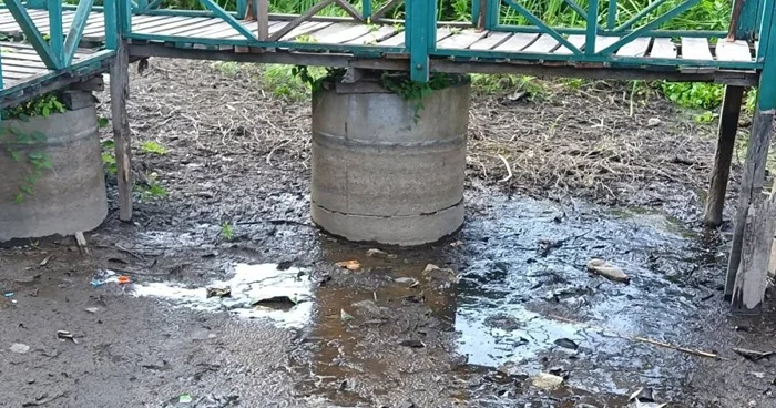 खडेरीले सुक्न थाल्यो बेतना सिमसार