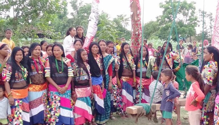 कञ्चनपुरका राना थारु गाउँमा सावन डोलाको रौनक