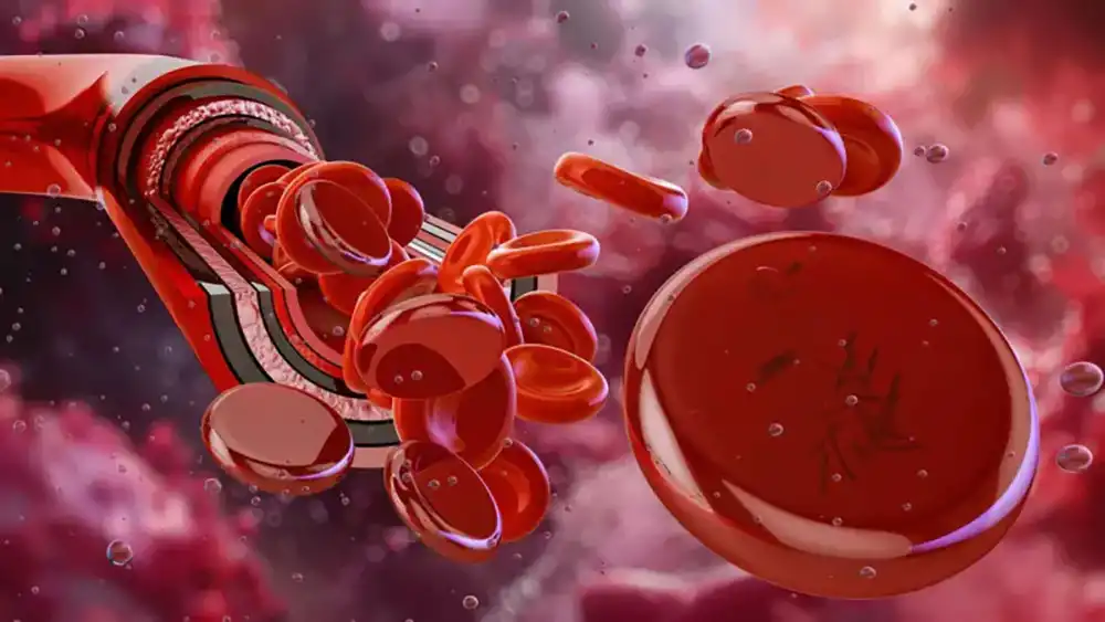 भारतमा भेटियो दुर्लभ रक्त समूह