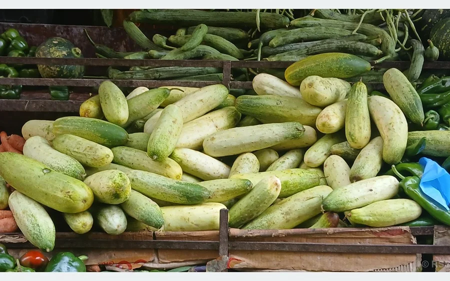 काँक्रोले बजार मूल्य नपाउँदा दक्षिण धादिङका किसान निराश