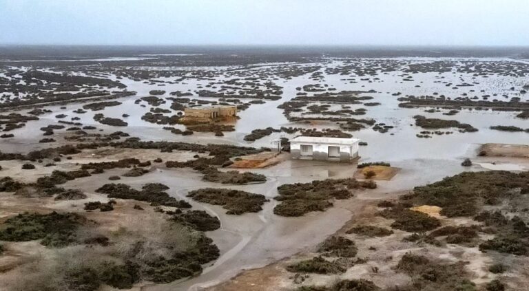 डेल्टाको मृत्युः पाकिस्तानको सिन्धु डुब्दै र सङ्कुचित हुँदै