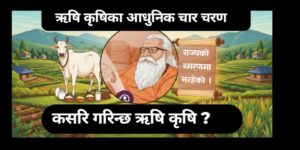 ऋषि कृषिका आधुनिक चार चरण